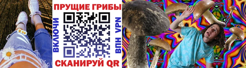 купить наркотики сайты  Рыльск  Псилоцибиновые грибы ЛСД 